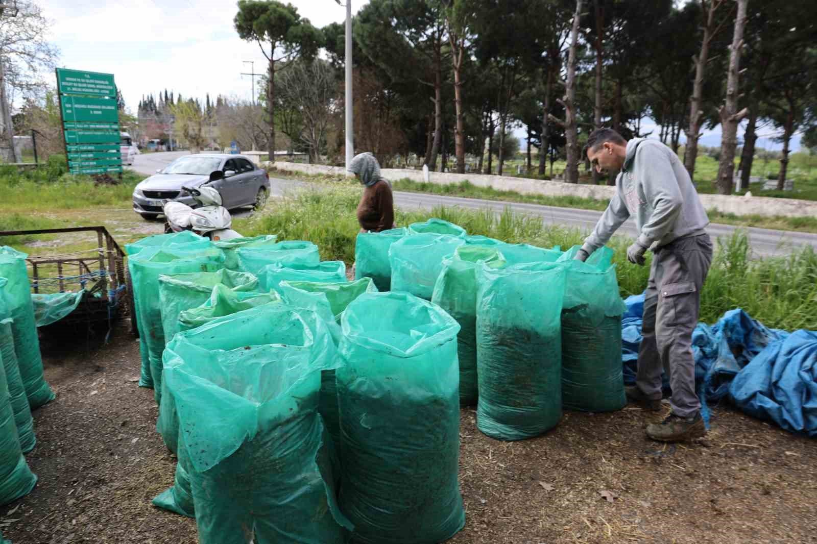 Aydin Da Bahar Bereketi Yagislar Hayvancilik Sektorune Yaradi 1778051702692 285648