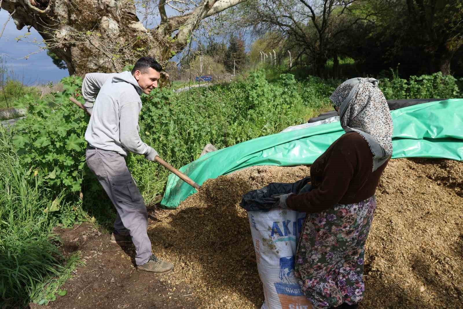 Aydin Da Bahar Bereketi Yagislar Hayvancilik Sektorune Yaradi 1778051703189 946933