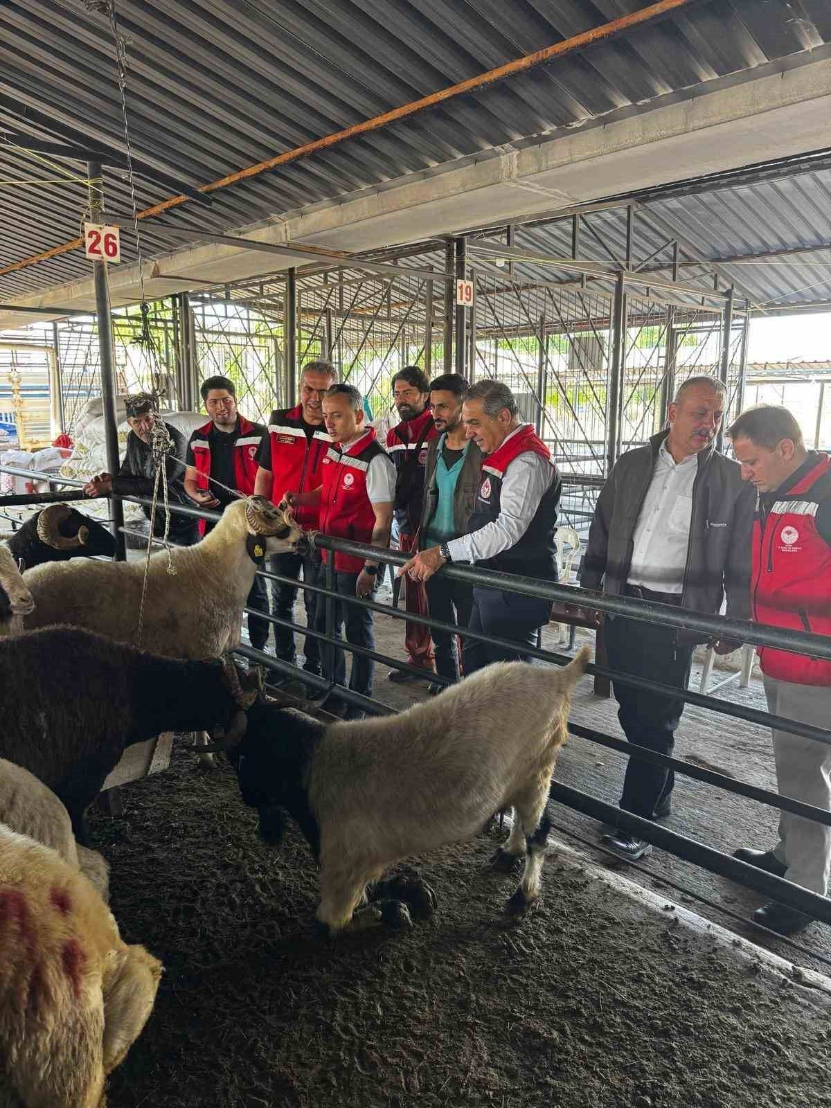 Aydin Da Kurbanlik Satis Noktalarinda Kontrol Yapildi 1779625206674 513670