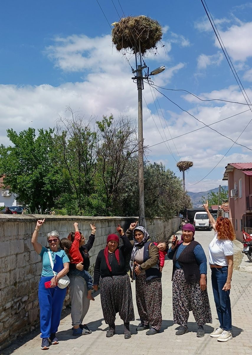 Aydinda 894 Leylek Tespit Edildi Bazi Koylerde Dikkat Ceken 665627 8Cf4C4