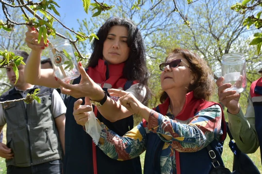 Aydinda Gal Arisina Karsi Biyolojik Savas 662321 E6E5Be