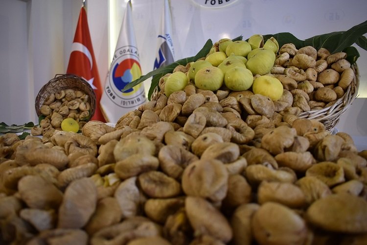 Aydinin Inciri Dunyayi Fethetti 658715 Fd8583