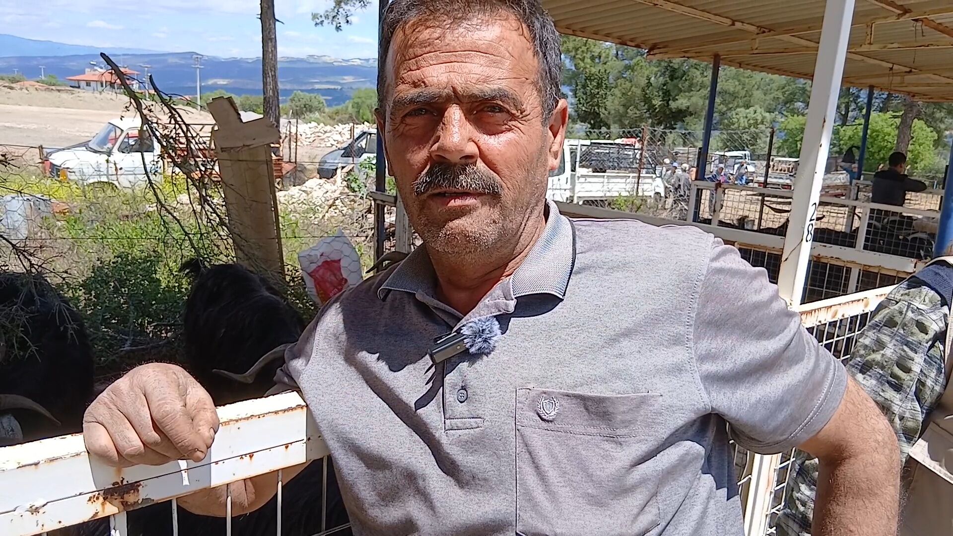 Babadağ'dan Karacasu'ya gelen besici: "Önceden bir tane kalmazdı, şimdi siftah yapamadık"