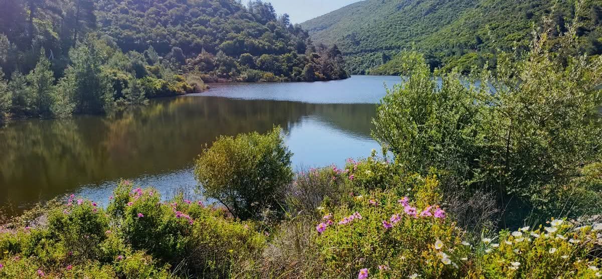 Bahcecik Bogazinda Tehlike Canlari Caliyor 658806 F4E396