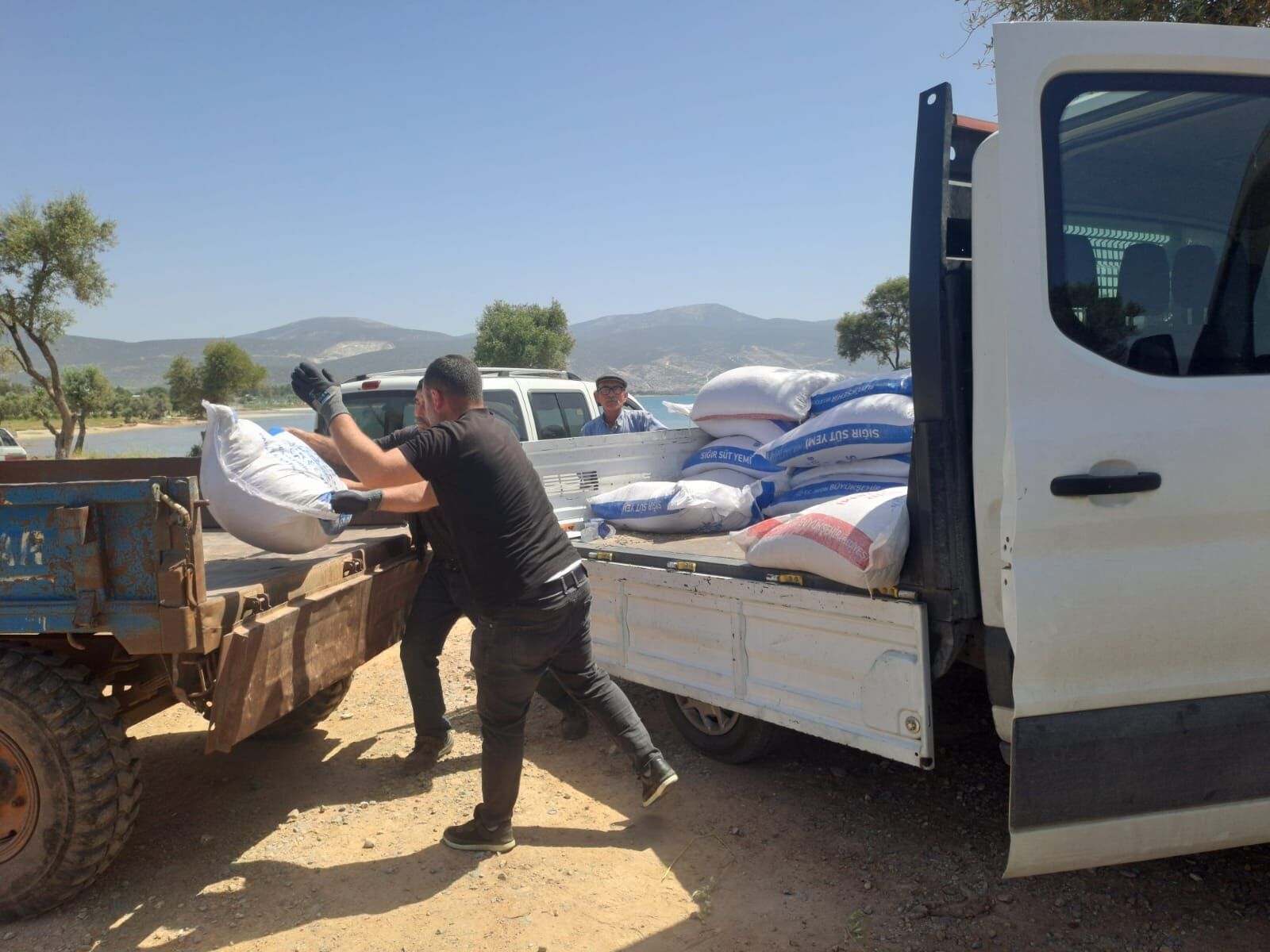 Baskan Cercioglundan Didimde Kucuk Ureticilere Yem Destegi 661467 D8Af98