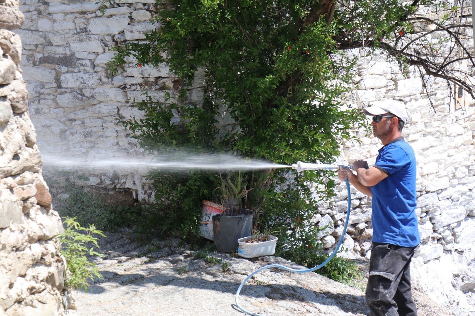 Bozdogan Bayrama Hazir 665351 Df139A