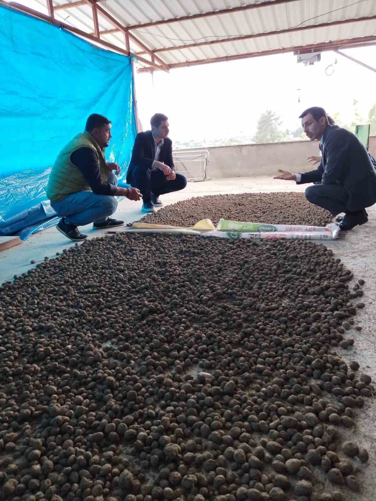 Bozdogan Da Salep Hasadi Kontrol Altinda 1779344703331 205478