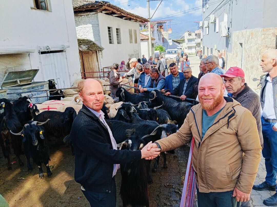 Bozdogan Yazikent Te Kurban Pazari Hareketlendi 1778834702369 580939