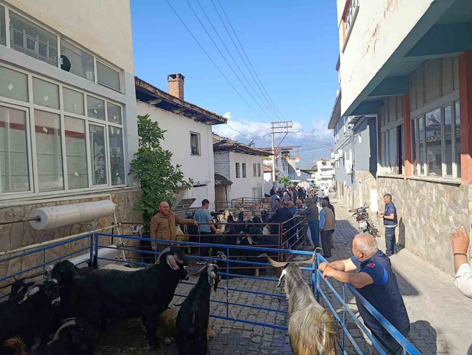 Bozdogan Yazikent Te Kurban Pazari Hareketlendi 1778834703283 728551