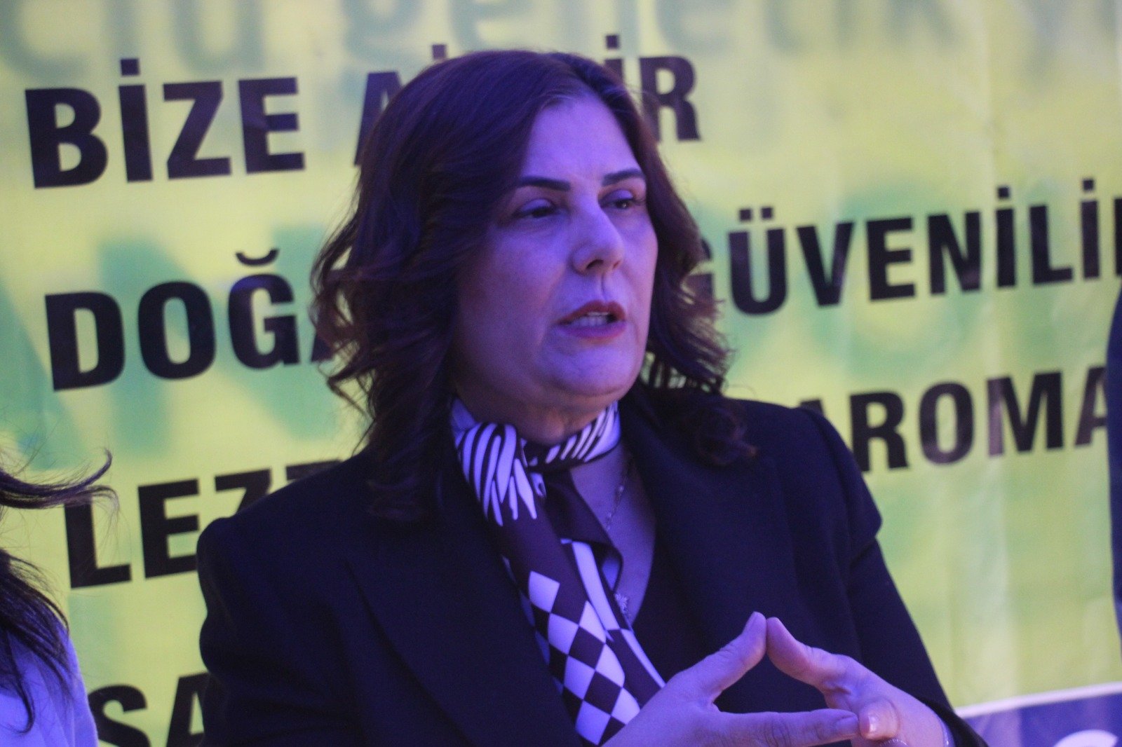 Cercioglu Aydini Egenin Incisi Yapacagiz 659390 0F710A