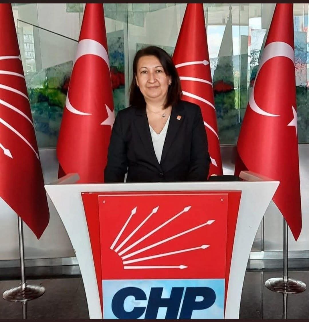 Chp Aydinda Cifte Istifa 658481 294489