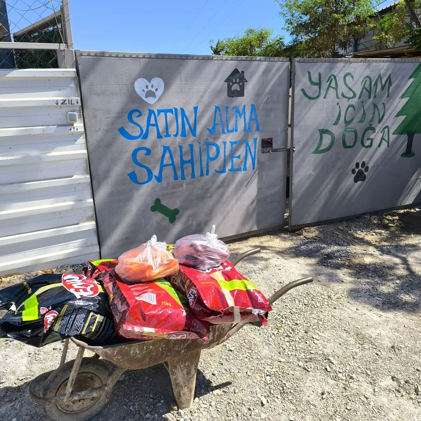 Didim Akbukte Zehir Dehseti Yaban Hayati Ve Sokak Canlari Ka 665990 1C4001-1