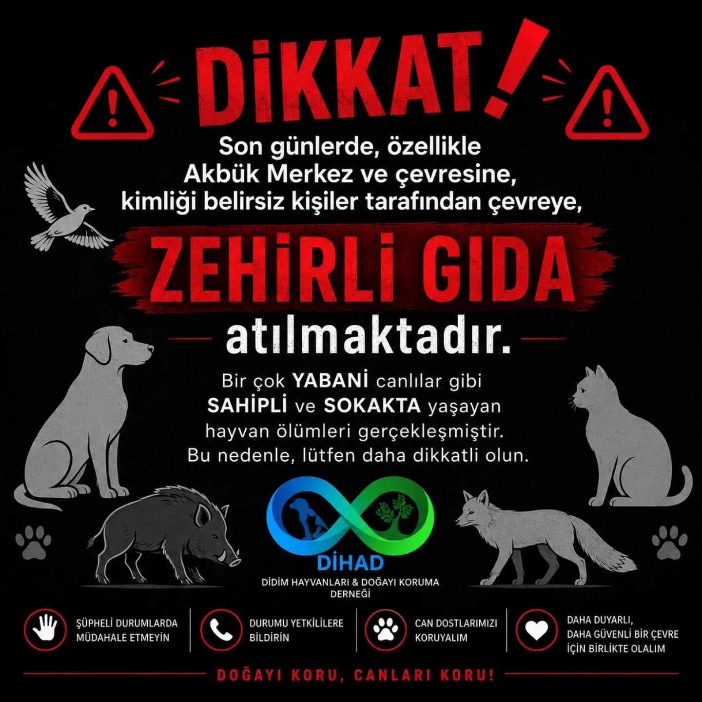 Didim Akbukte Zehir Dehseti Yaban Hayati Ve Sokak Canlari Ka 665990 C994Bc