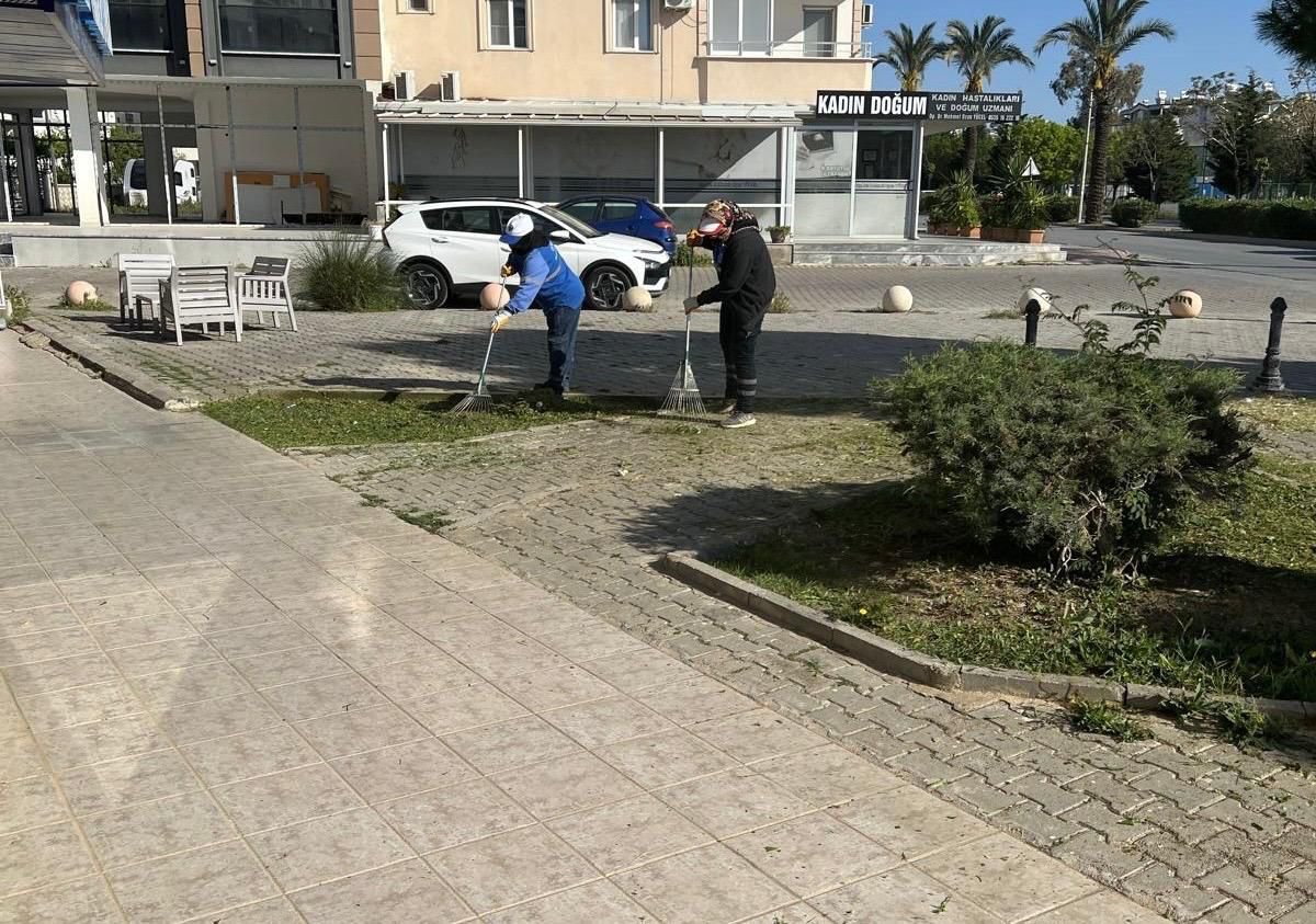 Didim Belediyesi Ekipleri Ilce Genelinde Calismalarini Yogun 660345 D9C972