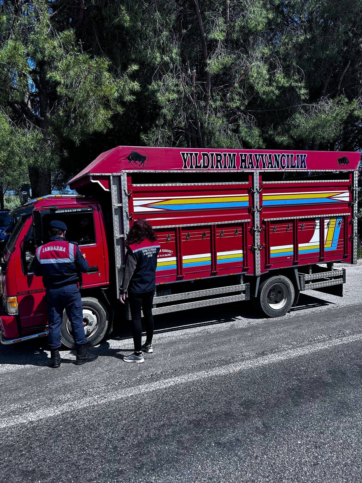 Didimde Kurbanlik Denetimleri Tam Gaz 659562 7Eceef