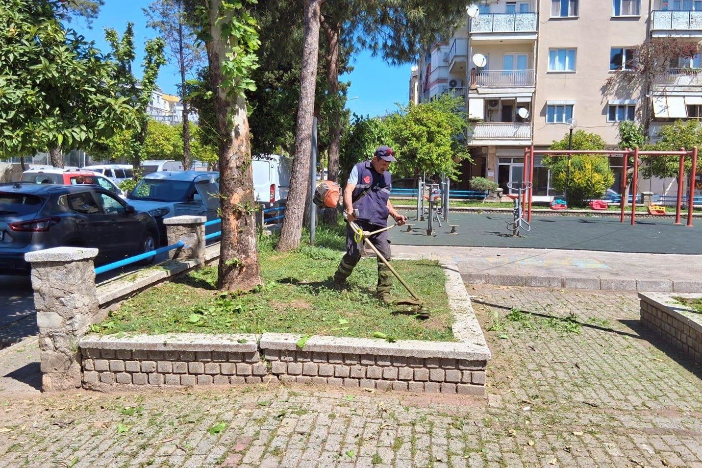 Efelerde Yesil Alanlara Nefes Aldiran Kapsamli Bakim Calisma 659015 647Bc4