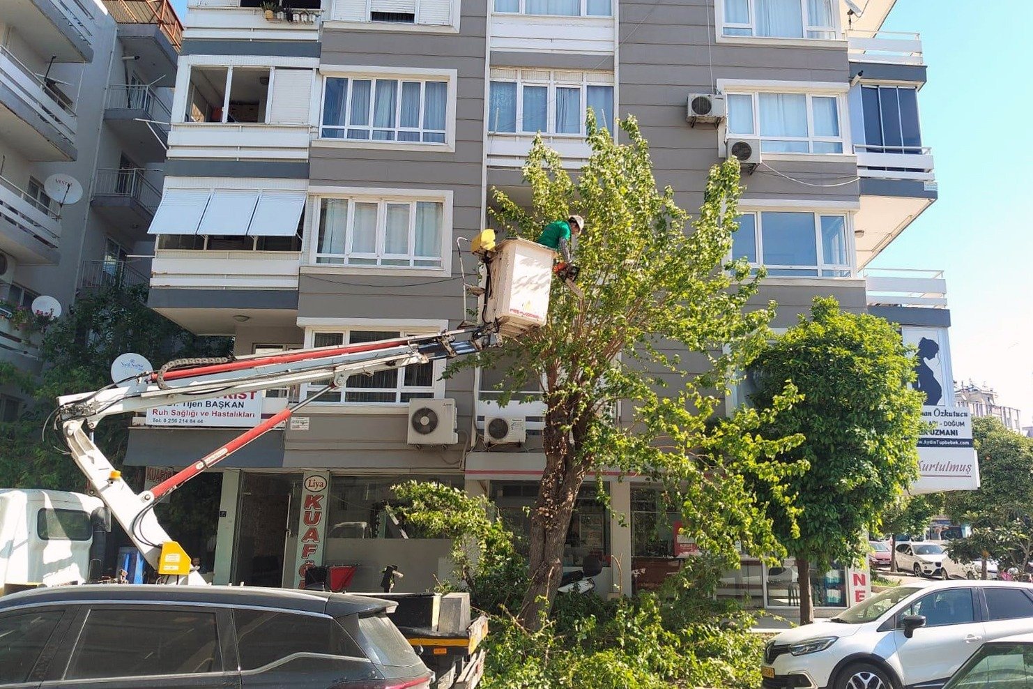 Efelerde Yesil Alanlara Nefes Aldiran Kapsamli Bakim Calisma 659015 A04D8A