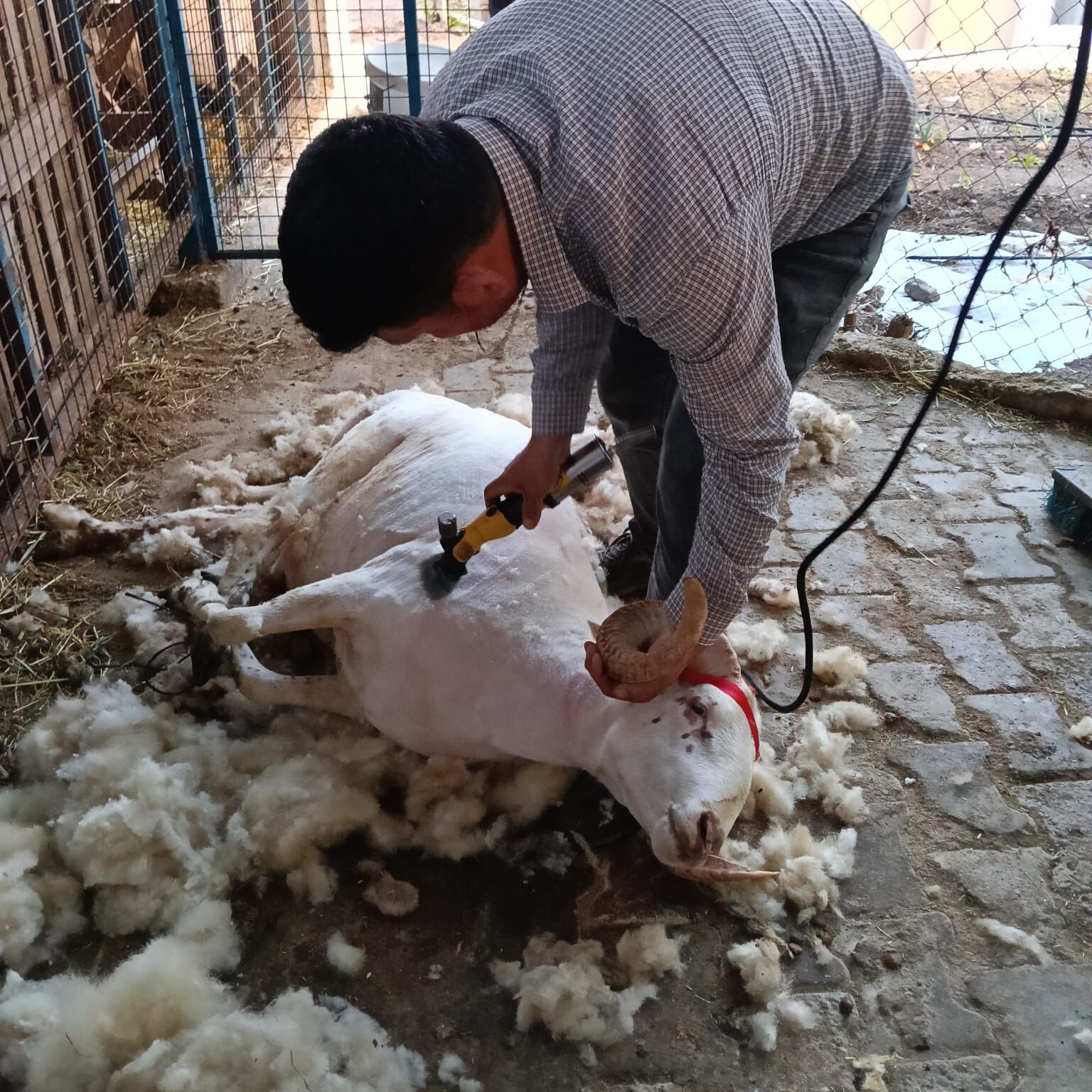 Germencikli Nazminin Baba Meslegi Ek Geliri Oldu 15 Yildir Y 665372 241740