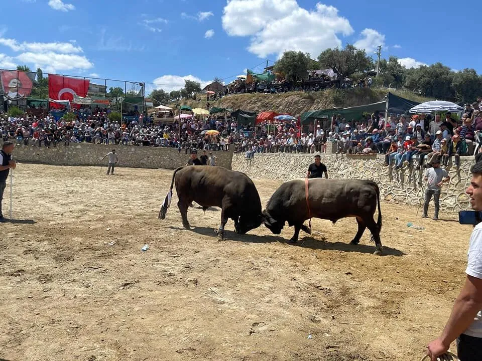 Germencikte Boga Guresi Festivali Nefes Kesecekfestivalin Ag 663754 B5Fa8A