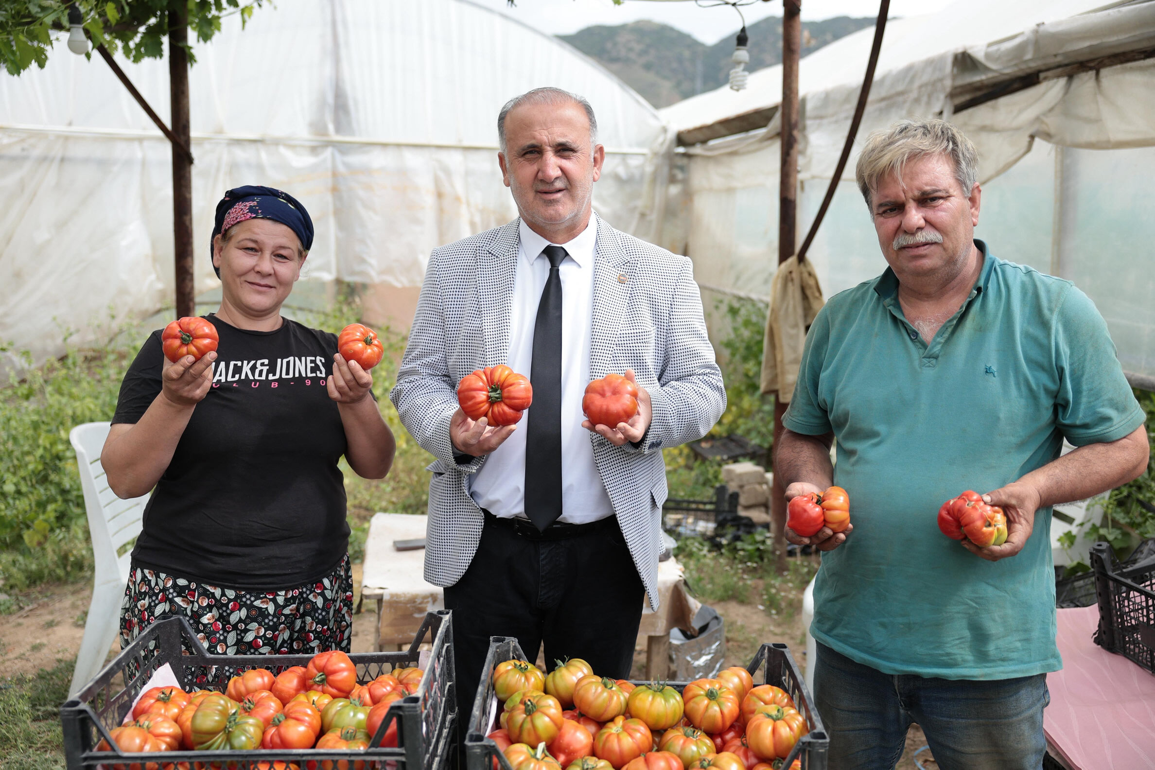 Incirliovanin Yerli Domatesi Hasat Edildi 662110 5Aad00