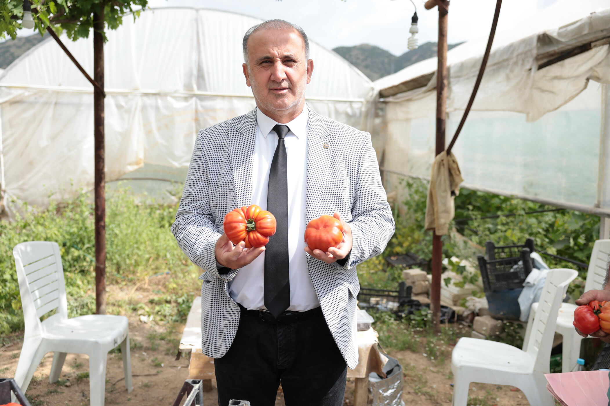 Incirliovanin Yerli Domatesi Hasat Edildi 662110 E2C510