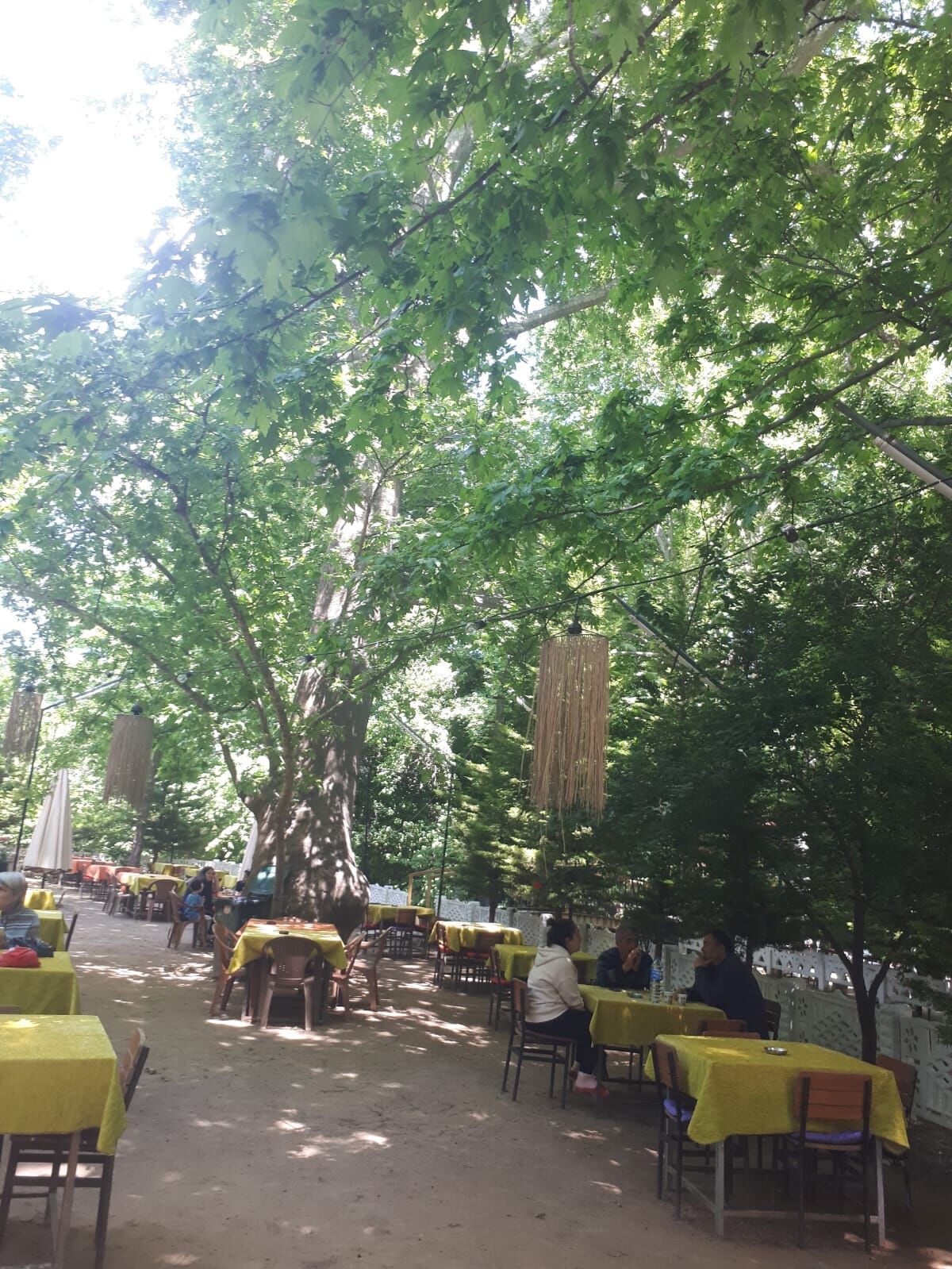 Kahvederesi Aile Cay Bahcesinde Sezon Acildi 665911 D19Dc1