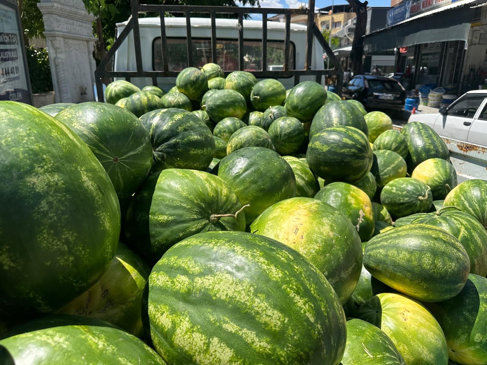 Kocarlida Karpuz Tezgahtaki Yerini Aldi Rengiyle Tadiyla Cez 663229 62A6Aa
