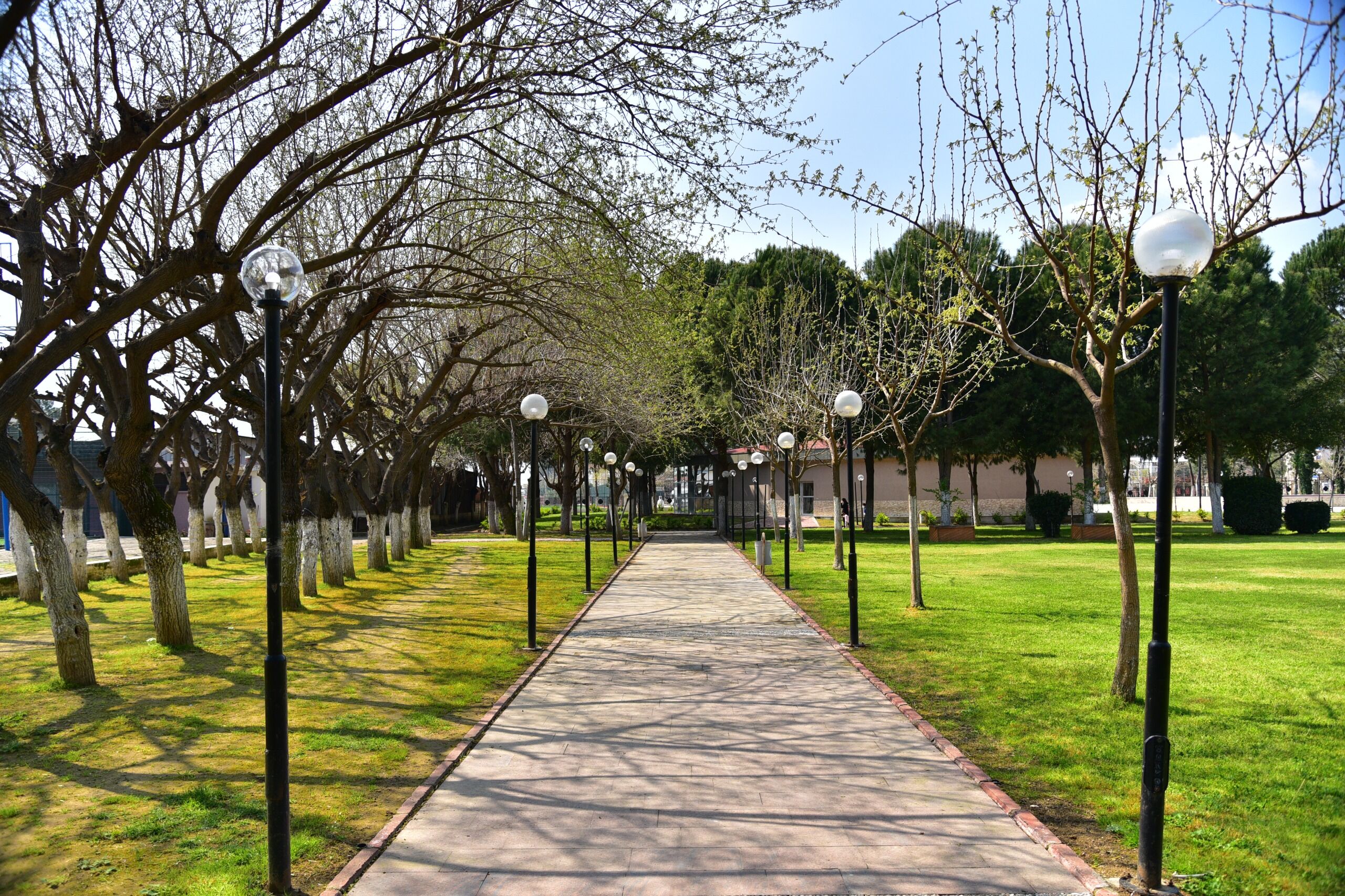 Kultur Park Artik Incirliovanin Oldu Baskan Kayadan Milletve 664637 17C689