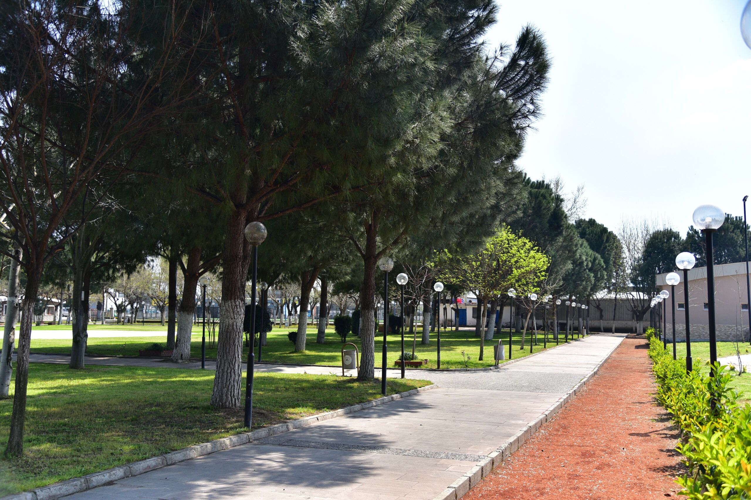 Kultur Park Artik Incirliovanin Oldu Baskan Kayadan Milletve 664637 2B5Ba9