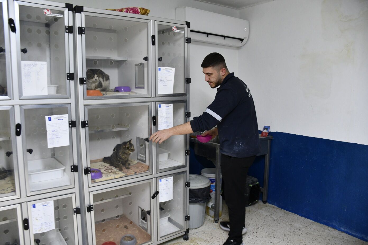 Kusadasi Belediyesi Can Dostlara Umut Olmaya Devam Ediyor 664275 498D13