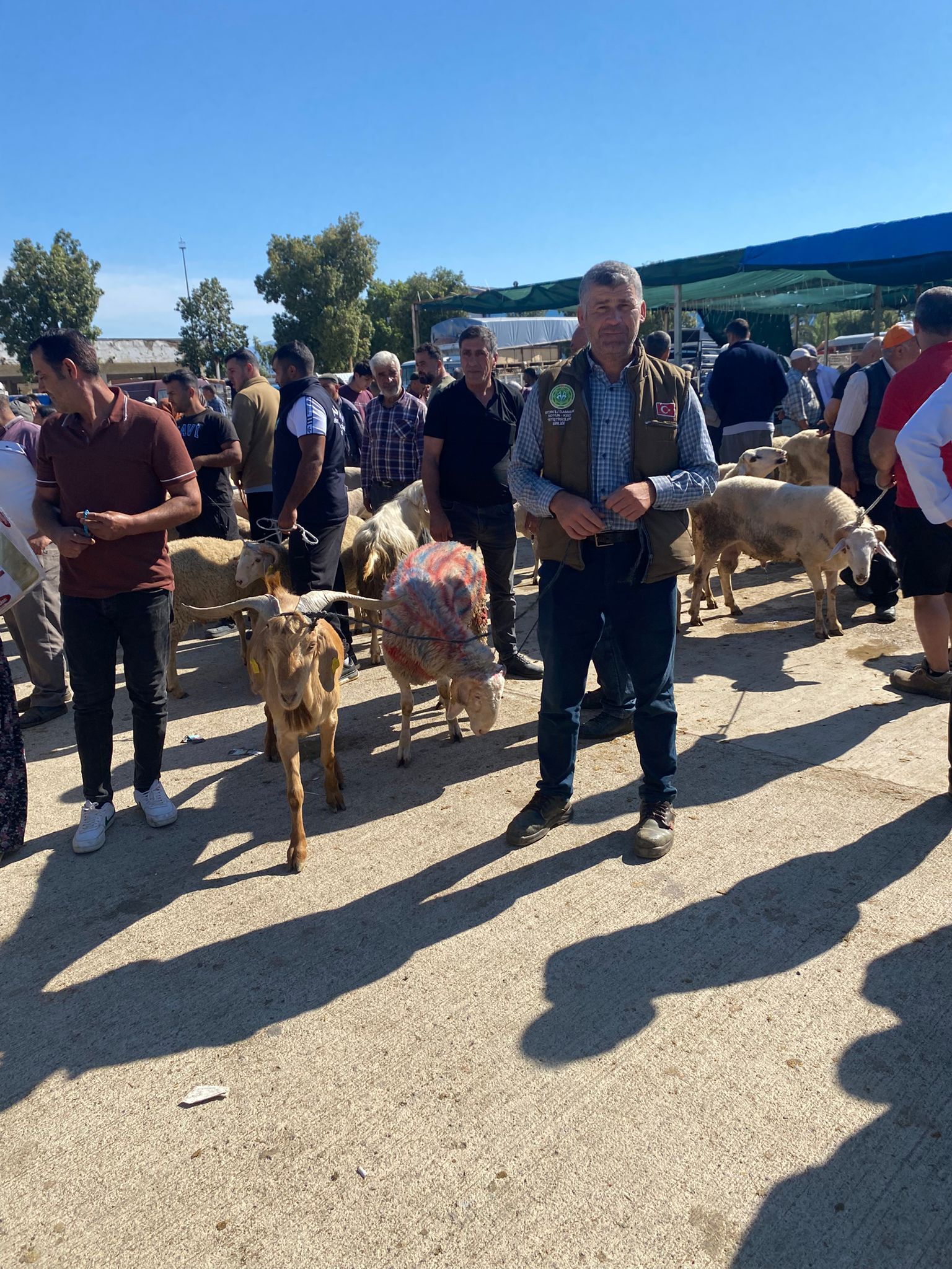 Nazillide Kurban Hareketliligi Basladi Simdi Pazarlik Zamani 665583 59Fa00