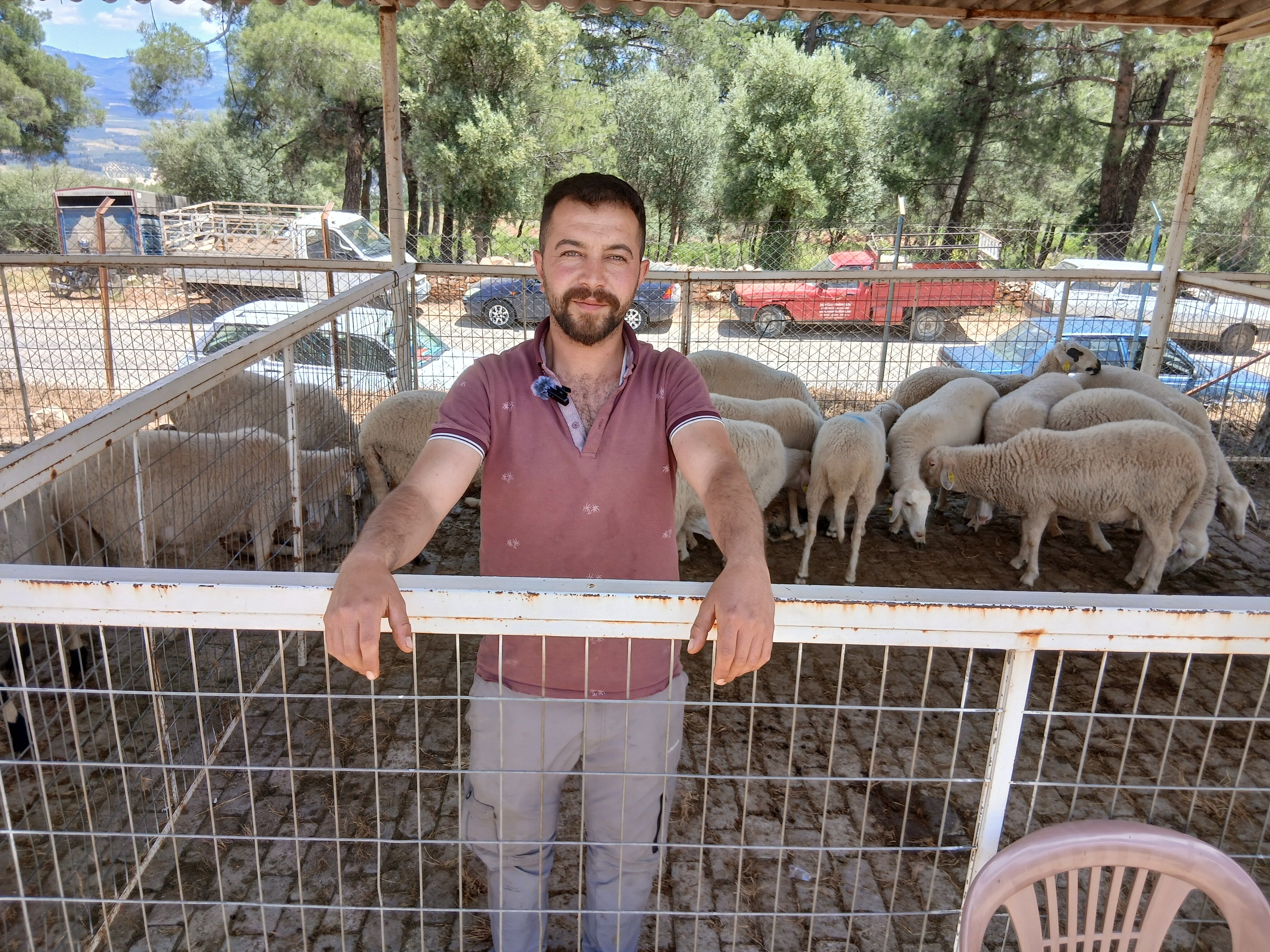 Turizm Mezunu Hayvanci Biz De Birakirsak Sehirdekiler Ne Yiy 665118 390A65