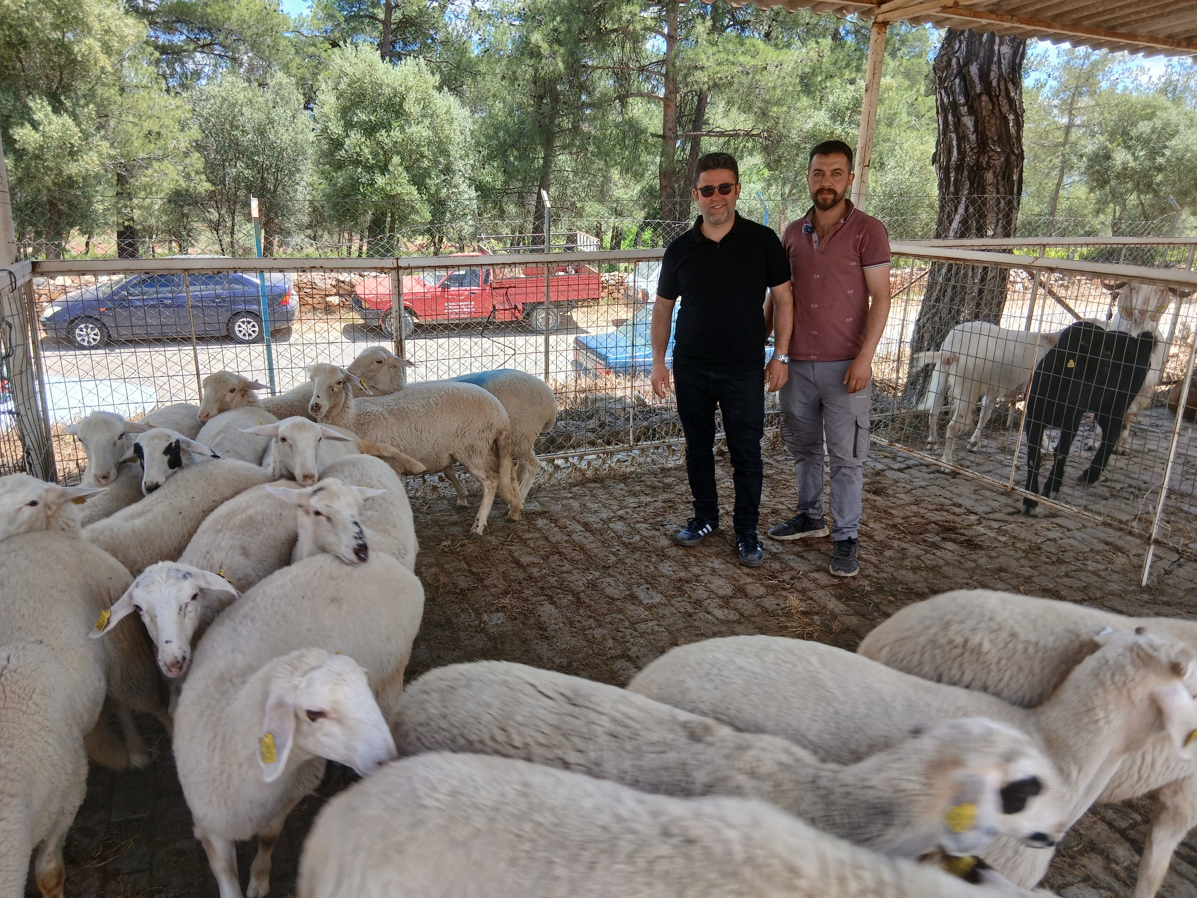 Turizm Mezunu Hayvanci Biz De Birakirsak Sehirdekiler Ne Yiy 665118 6D1D51