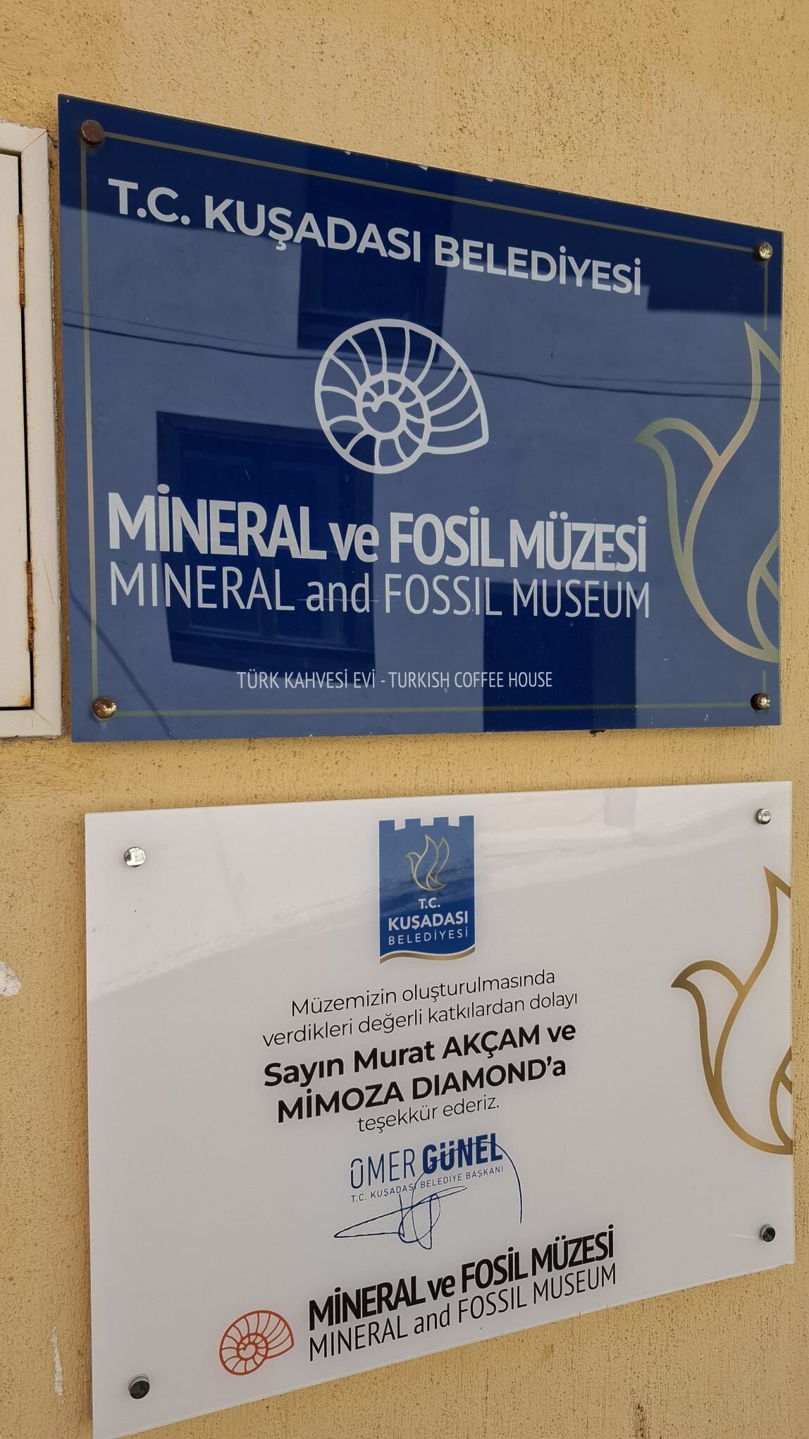 485 Milyon Yillik Kalamar Fosiline Kusadasinda Ilgi Artiyor 666526 526Da1