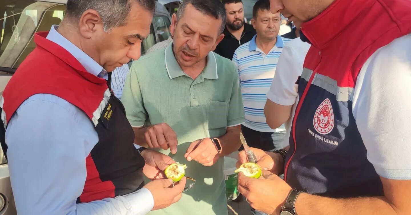 Aydin Da Ilek Pazari Denetimleri Araliksiz Suruyor 1780987503544 640498
