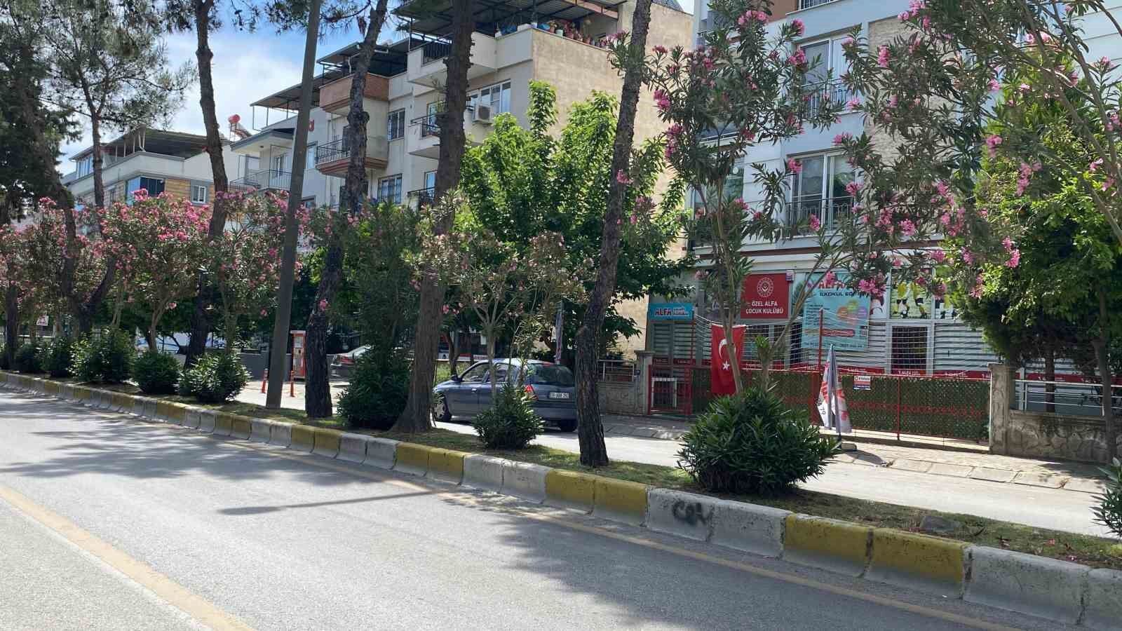 Aydin In Cadde Ve Sokaklari Cicek Acti 1781333703562 739921