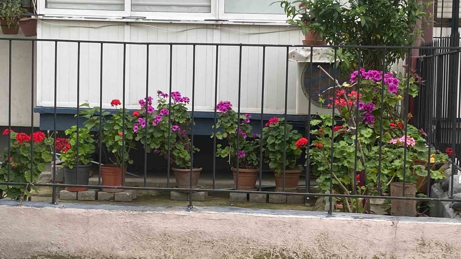 Aydin In Cadde Ve Sokaklari Cicek Acti 1781333704484 468613