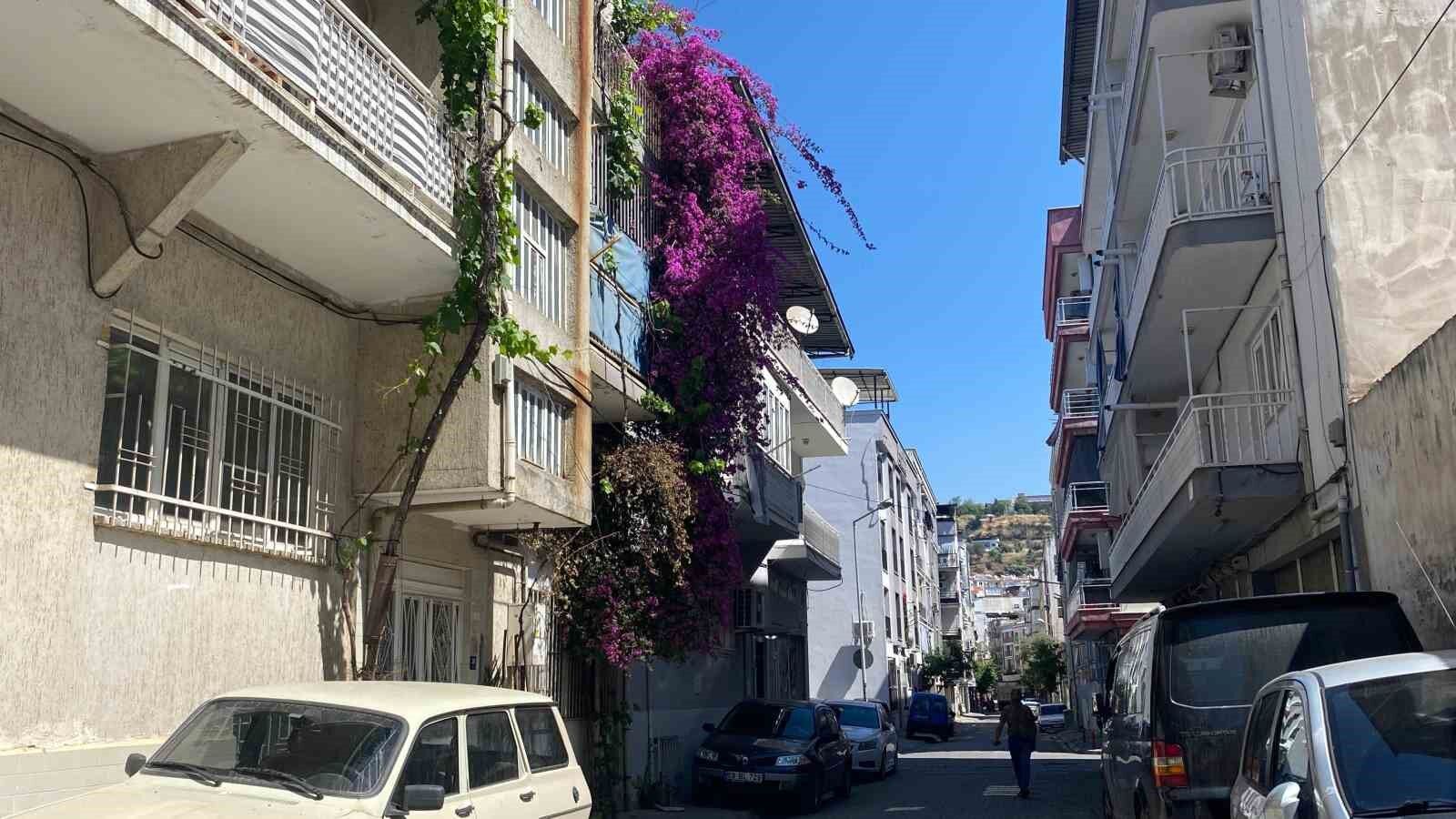 Aydin In Cadde Ve Sokaklari Cicek Acti 1781333705280 915656