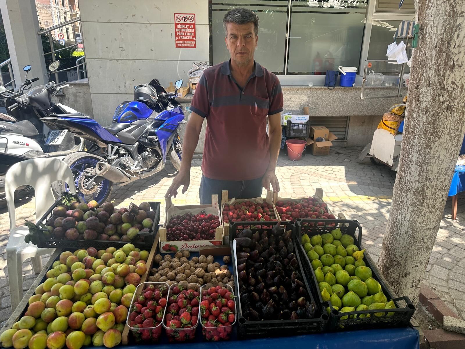 Aydinda Erkenci Incir Tezgahtaki Yerini Aldi Kilosu 200 Lira 672815 710D10