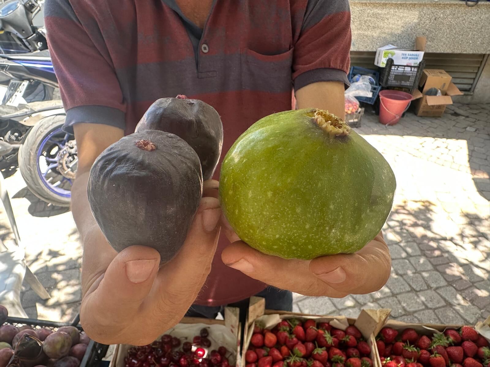 Aydinda Erkenci Incir Tezgahtaki Yerini Aldi Kilosu 200 Lira 672815 Ab09Bb