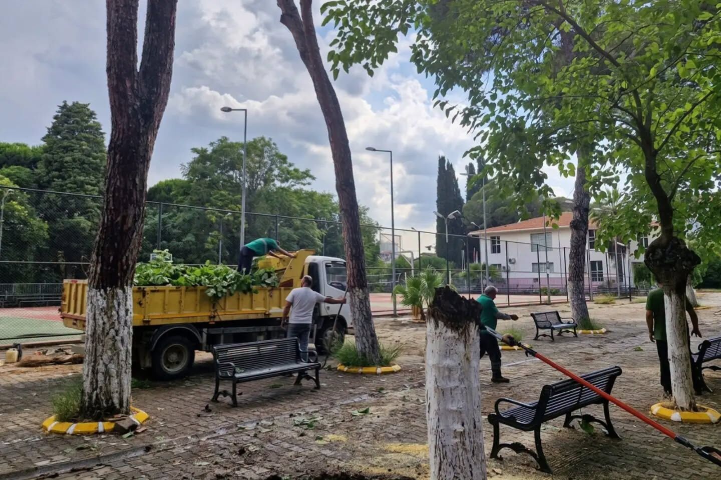 Aydinda Firtina Agaci Devirdi 671678 58F76A