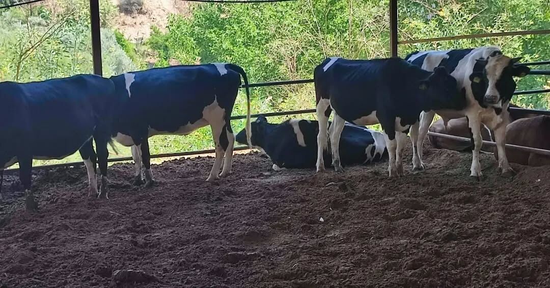 Aydinli Kadin Girisimci Hayalini Gercege Donusturdu 673132 C2D72F