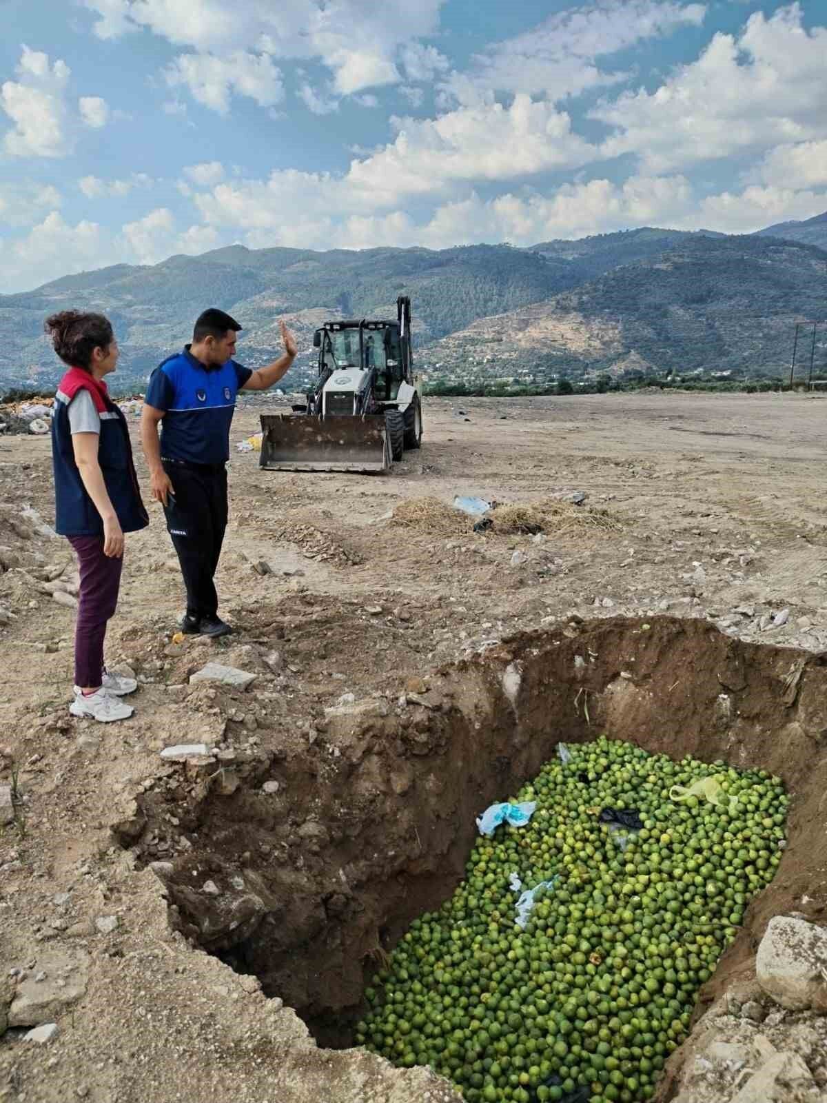 Bozdogan Da Hastalikli Ilekler Imha Edildi 1781775308098 218186