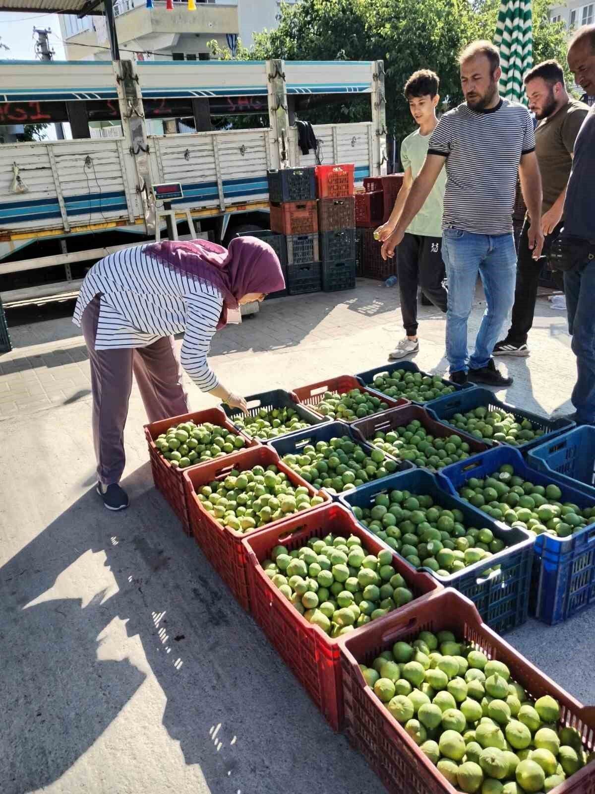 Bozdogan Da I Lek Denetimleri Araliksiz Suruyor 1781589302568 30363