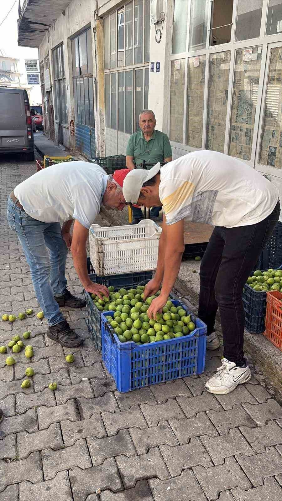 Bozdogan Ilegi Kalitesiyle Ureticilerin Ilk Tercihi Arasinda 1781939103388 56881