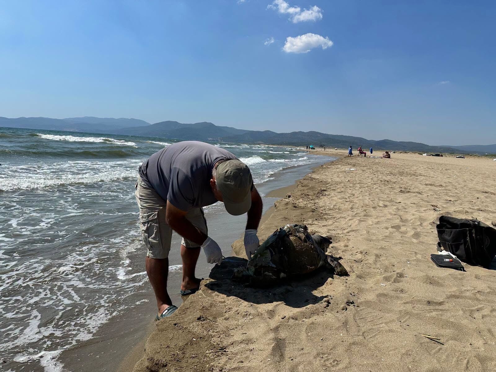 Caretta Carettaya Yine Insanlik Disi Mudahale 672600 02Cc72