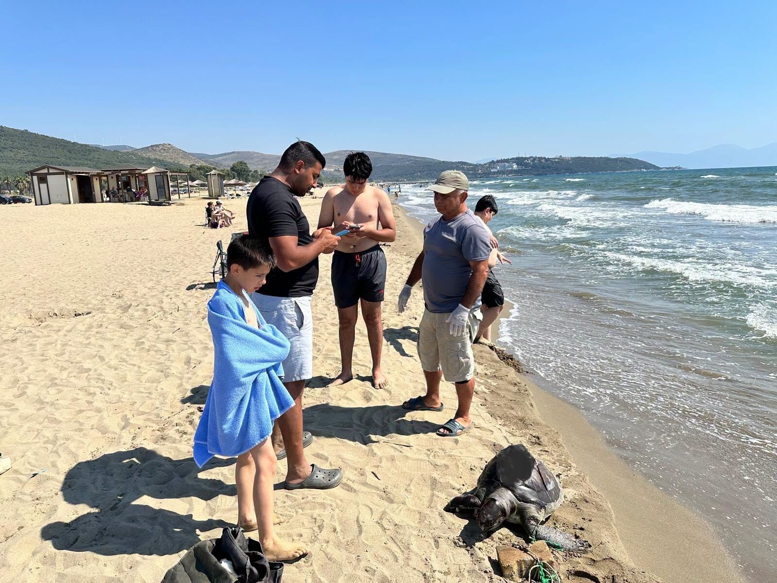 Caretta Carettaya Yine Insanlik Disi Mudahale 672600 964E61