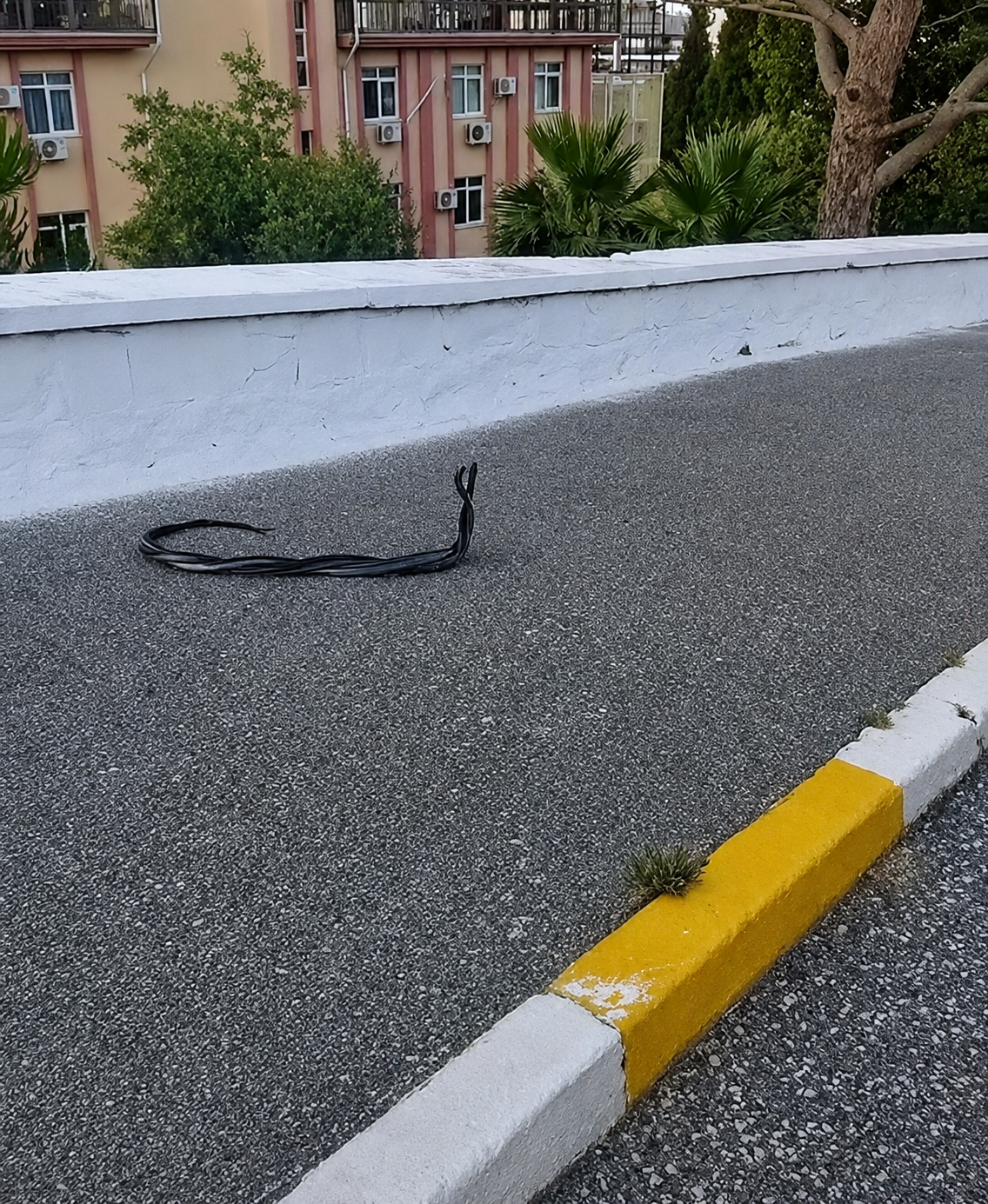 Chatgpt Image 15 Haz 2026 11 58 11