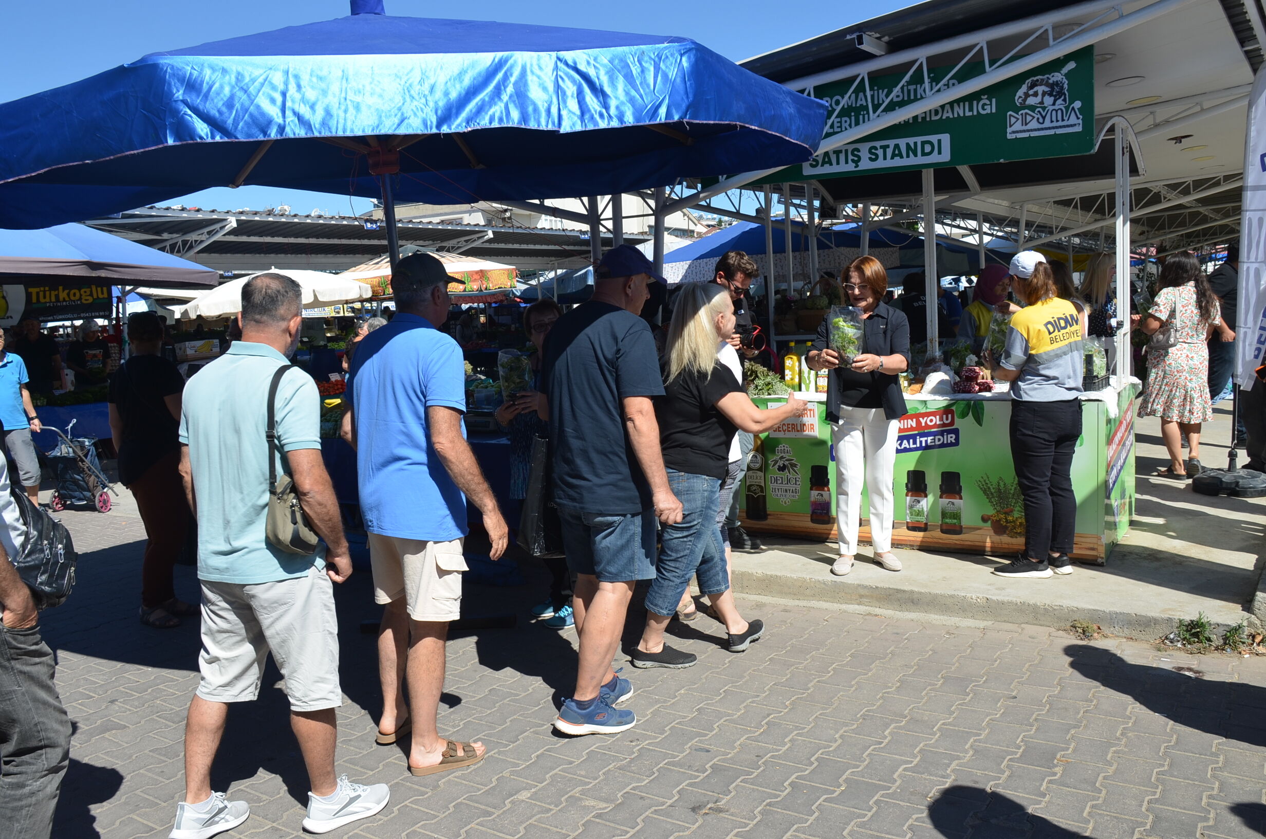 Didim Belediyesinden Vatandaslara Ucretsiz Fide Dagitimi 666997 8E211A
