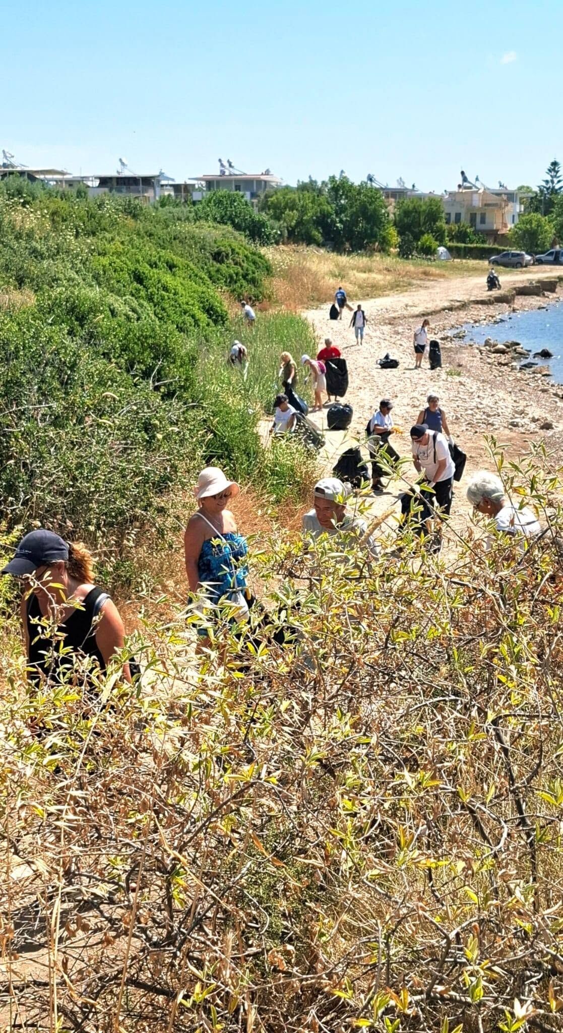Didimde Cevre Seferberligi Mersinderede Plajlar Temizlendi 671030 6542A4